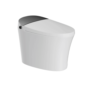 Smart Toilet with Bidet Built in,Elongated Heated Toilet Seat with Tank, Instant Warm Water&Air Dryer, Detachable Nozzle, Foot Sensor Open/Close (Function: D16-Best)